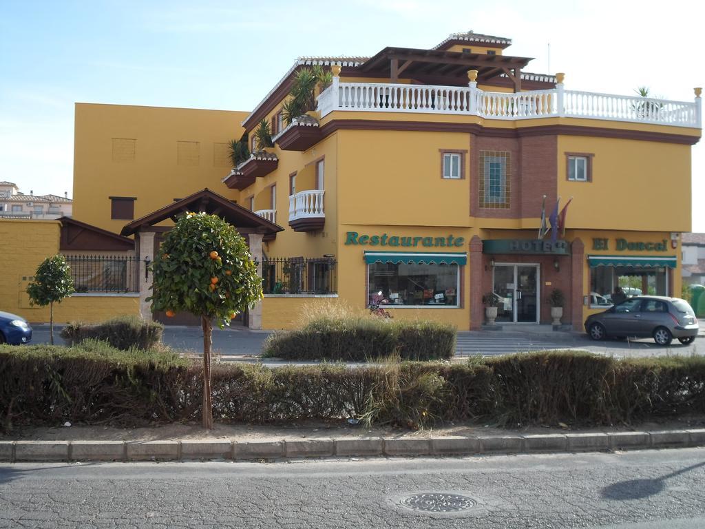 Hotel El Doncel Atarfe Dış mekan fotoğraf